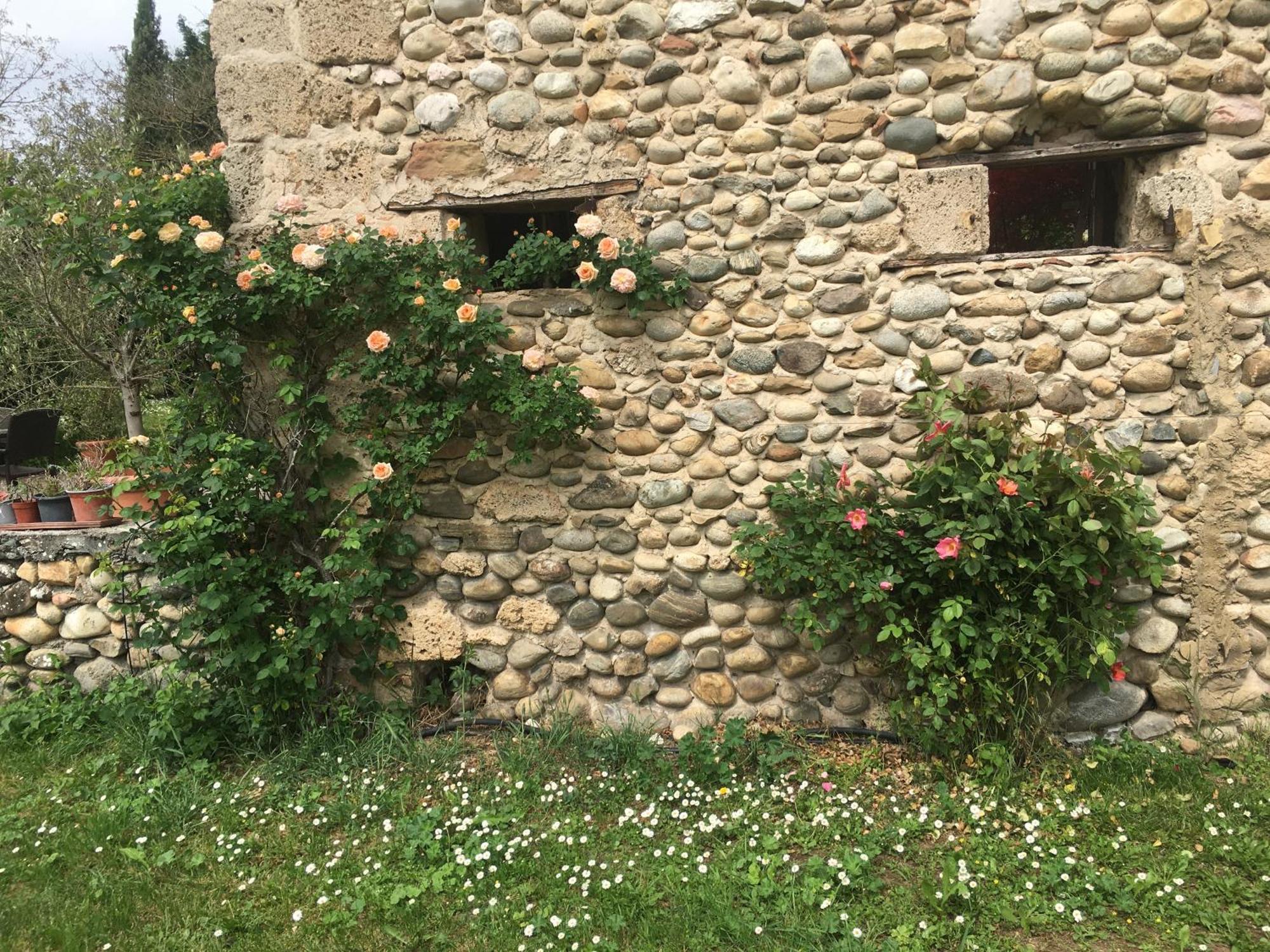 Vercors En Vert , Chambres D'Hotes De Charme Saint-Romans  ภายนอก รูปภาพ