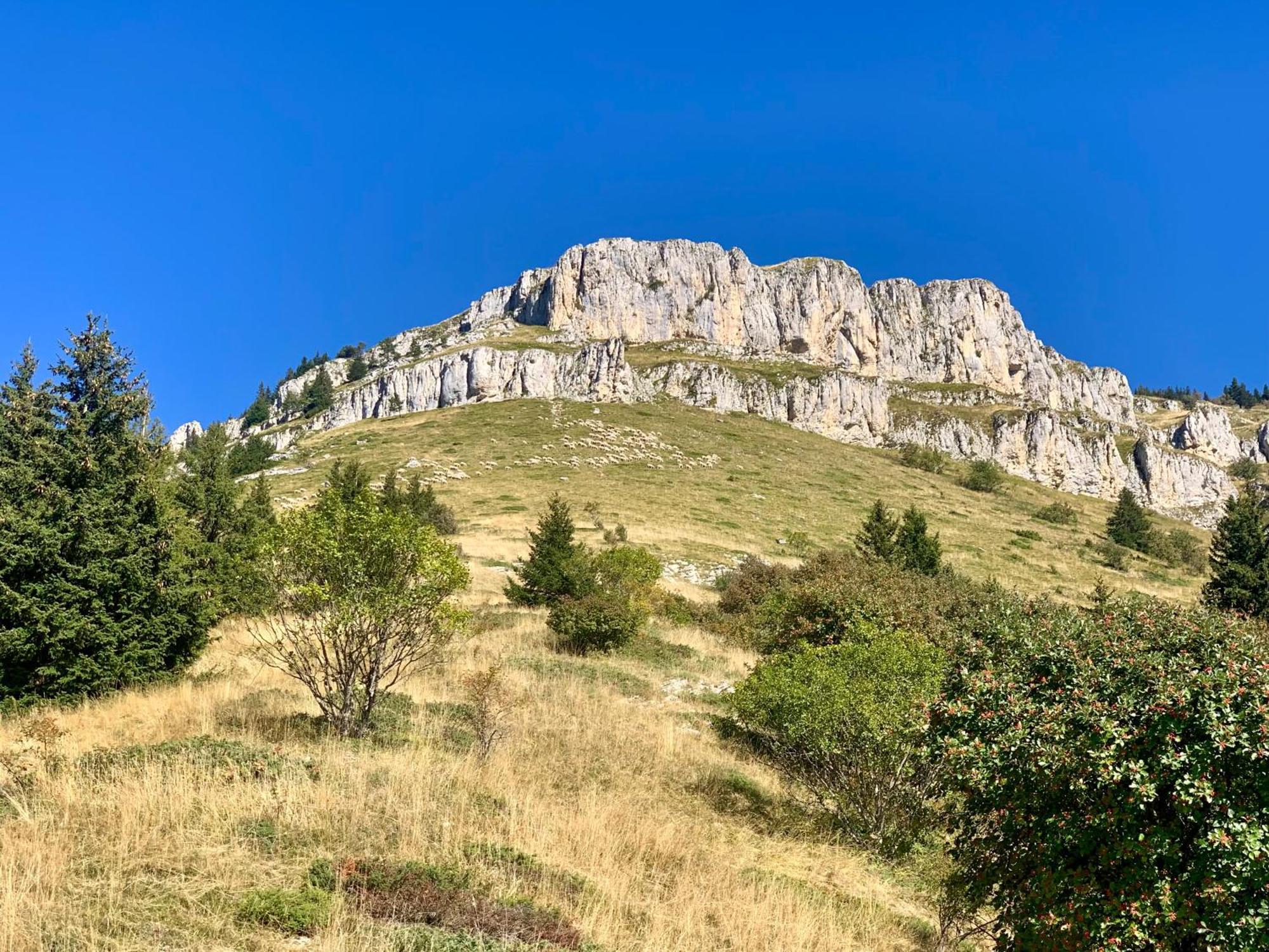 Vercors En Vert , Chambres D'Hotes De Charme Saint-Romans  ภายนอก รูปภาพ