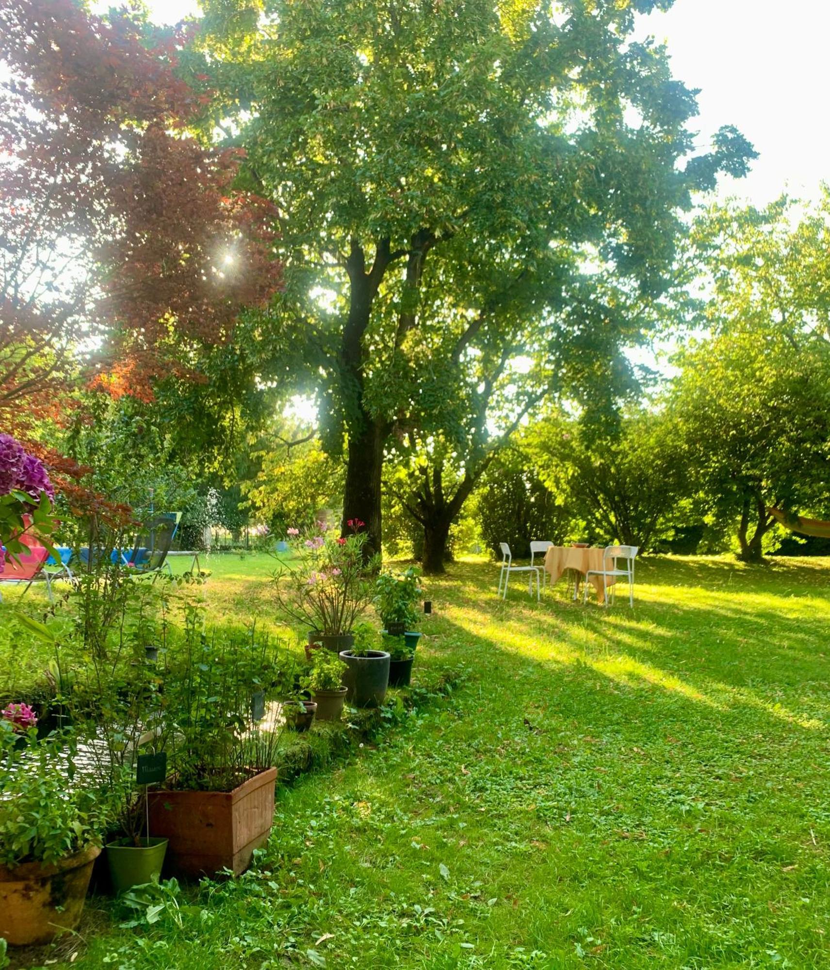 Vercors En Vert , Chambres D'Hotes De Charme Saint-Romans  ภายนอก รูปภาพ