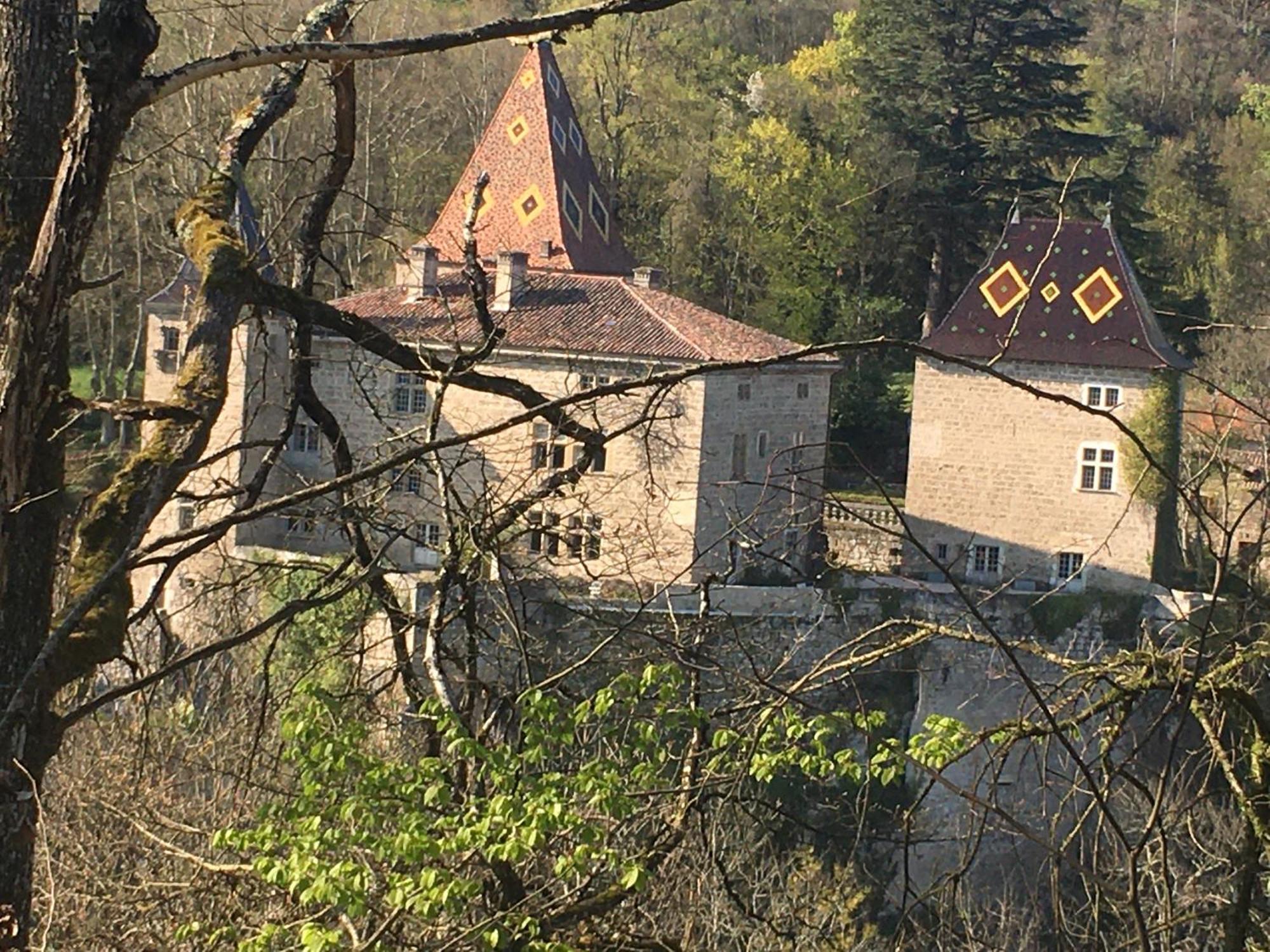 Vercors En Vert , Chambres D'Hotes De Charme Saint-Romans  ภายนอก รูปภาพ