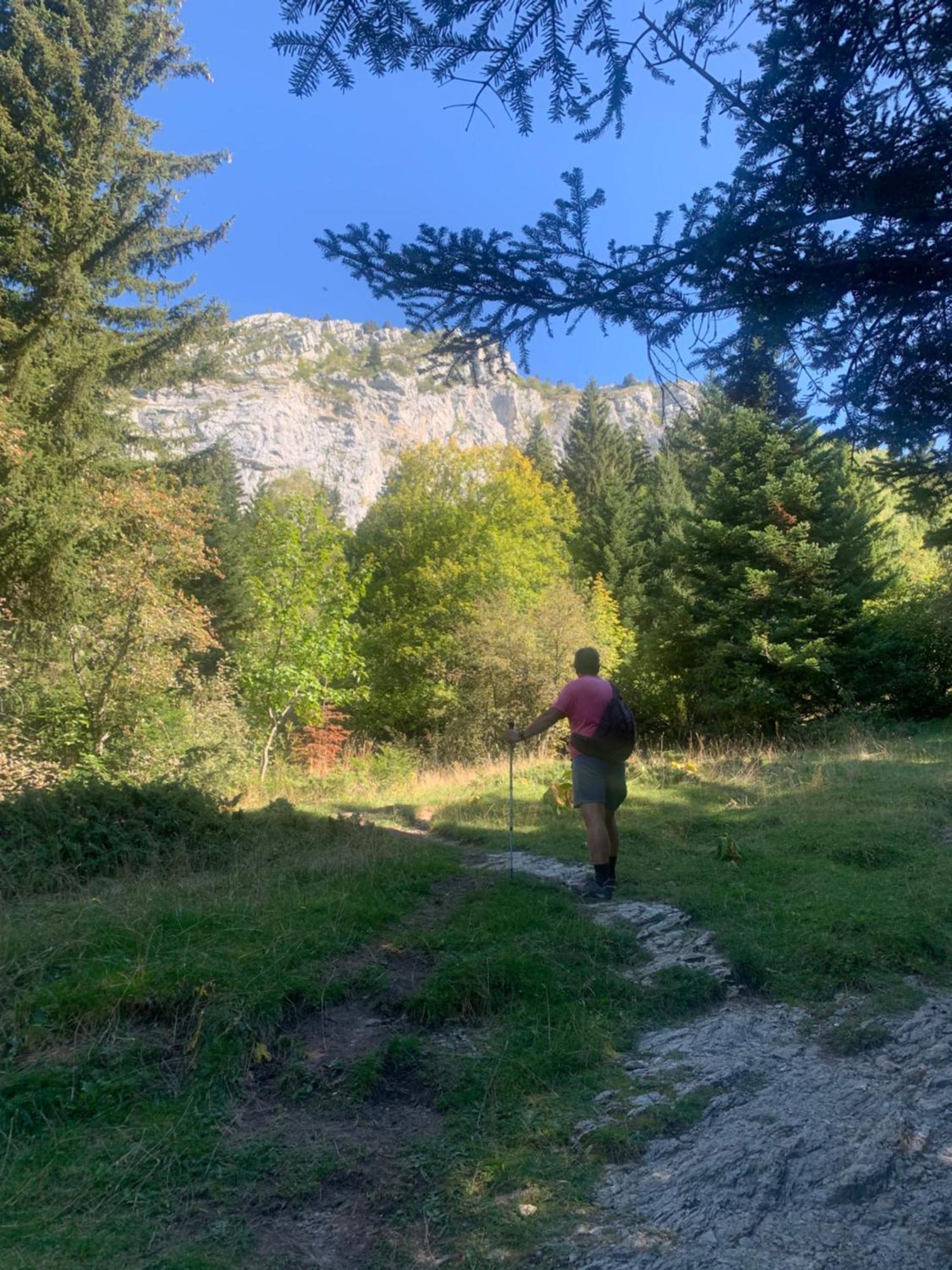 Vercors En Vert , Chambres D'Hotes De Charme Saint-Romans  ภายนอก รูปภาพ